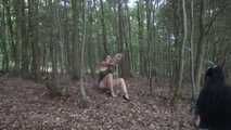 Ayu tree tied 2/2