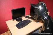 PC Dog