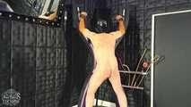 Whips for the Slavesass