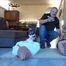 Isabel and Stefanie - Escape Part 6 of 10