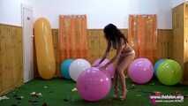 Conny  43