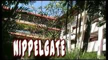 NIPPELGATE