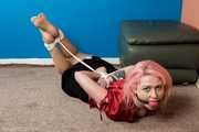 Red Hot Hogtie