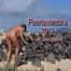 Pissen am FKK-Strand