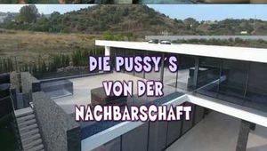 THE PUSSYS FROM THE BLOCK