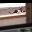 HIDDEN CAM AND FUCKING COUPLES