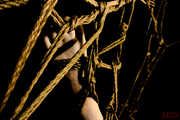 Caught in a Web Shibari Photoset (61) - EveX / SaiJaidenLillith