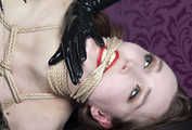 Bound for Pleasure