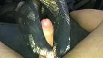 CUM OVER MY NYLONS