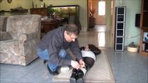 Wunschvideo Ashley - Der bekannte Autor Teil 2 von 5
