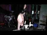Baroness Mercedes - The Looser must fuck the Doll