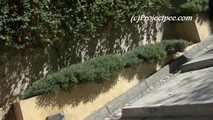 016224 Eve Takes A Pee In The Alhambra