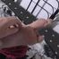 Request video the babysitter 2/2
