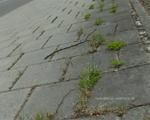 Barfuss unterwegs