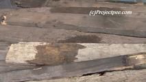 078003 & 078003 Rachel Evans & Anna Pee On A Woodpile