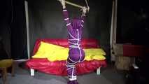Watching sexy Sonja wearing a supersexy purple shiny nylon rainwear combination being tied and gagged overhead with ropes and a clothgag (Video)