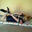 Hogtied Miri 1/2
