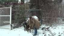 020166 Kathy Gets Caught Taking An Emergency Pee In The Snow