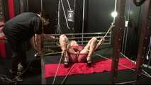 Another hard Lesson for sexy Lena King - humiliated in Public !