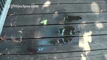 020170 Kathy Takes A Desperate Pee On The Decking
