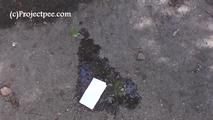 078033 Rachel Evans Takes A pee In The Park