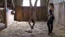 Abrichtung im Stall mit Mistress Kristin 