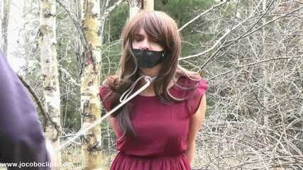 Brought In On A Leash