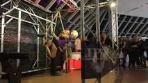 Lena King - suspended in Public