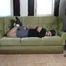 Alex toweltied 1/2