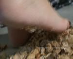 crushing peanuts
