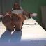 "Under german roofs" - Nylon Feet Tickling with Britney