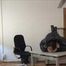 Vanessa - robbery in the office part 7 of 7