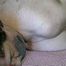 69 Yr OLD HOG-TIED, TOE-TIED GAGGED & NAKED KATHY (D16-14)