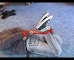 AB-Serie Vanessa is hogtied