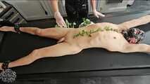 Nettles on the slave's body