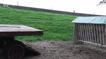 078032 Rachel Evans Pees Off The Farm Trailer