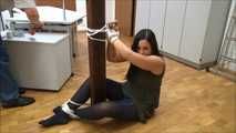 Vanessa - Tricked Part 6 of 7