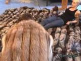 Anja, the fur slave 3 (VCD)