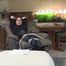 Merle - The Apartment Tour Part 2 of 6
