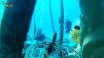 Underwater-Bondage