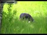 OUTDOORGEIL 050
