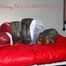 ***NEW MODEL*** Sandra wearing highheels and a sexy red crazy sensation skibib as well as a grey down jacket tied and gagged on a sofa with tape (Pics)