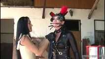 Pony Girls Sulky Training