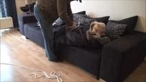 Video request Chantal - The Insurance Employees Part 3 of 5