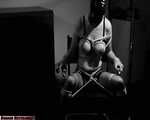 Interrogation - video