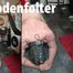 Your testicles must endure suffering for your mistress!