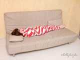[From archive] Stella - wrapped in red and white duct tape 2