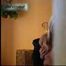HIDDEN CAM AND FUCKING COUPLES