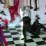 MAKING OF HOME OF LATEX