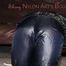 Watching sexy Sandra wearing a sexy blue shiny nylon pants and a rain jacket being tied and gagged with ropes and a clothgag on a stool (Pics)